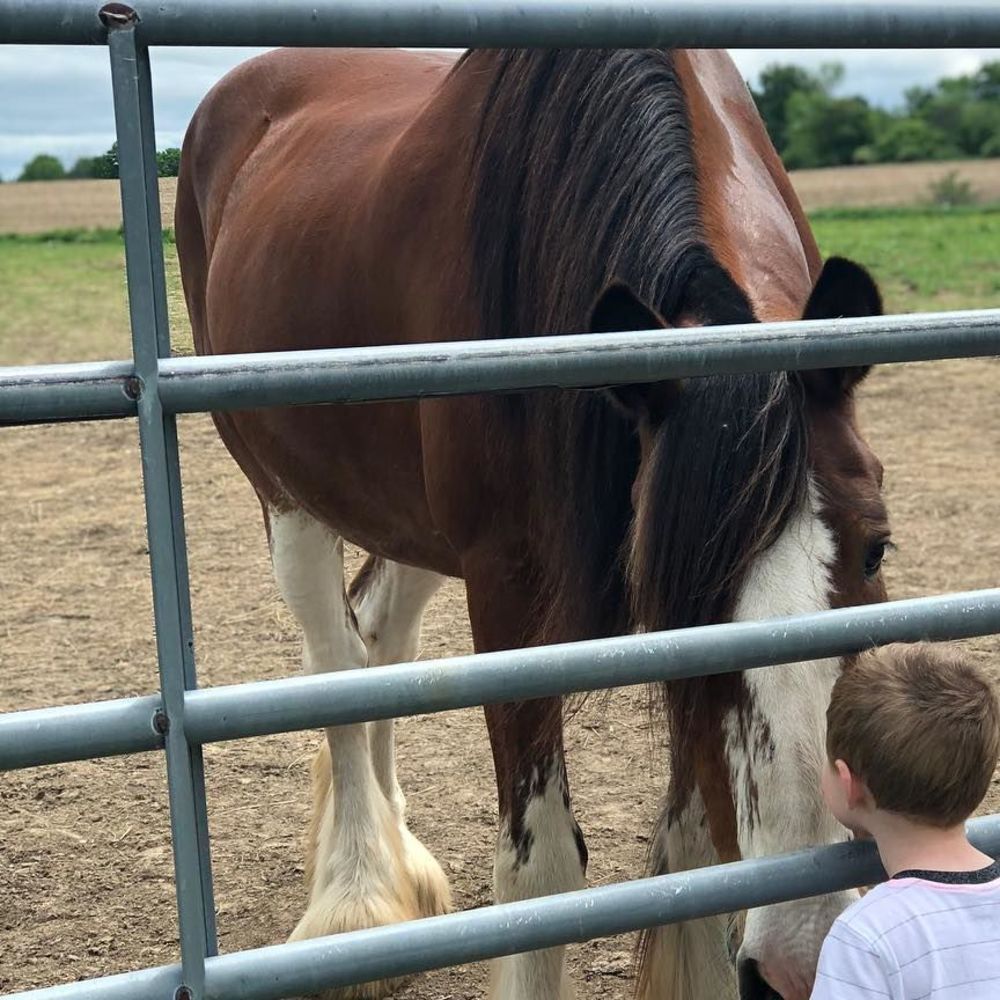 Meet your Posher, Linda